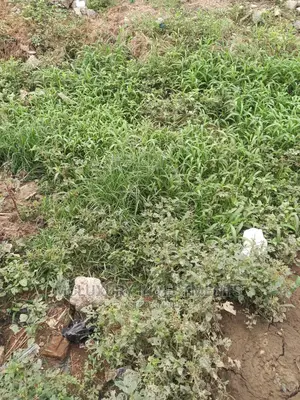 Photo - A Beautiful Fenced and Gated Land at Lekki Phase 1 for Sale