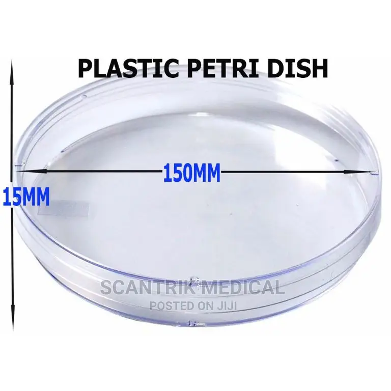 Sterile Petri Dish for Laboratory Plate Bacteria in Yaba Medical