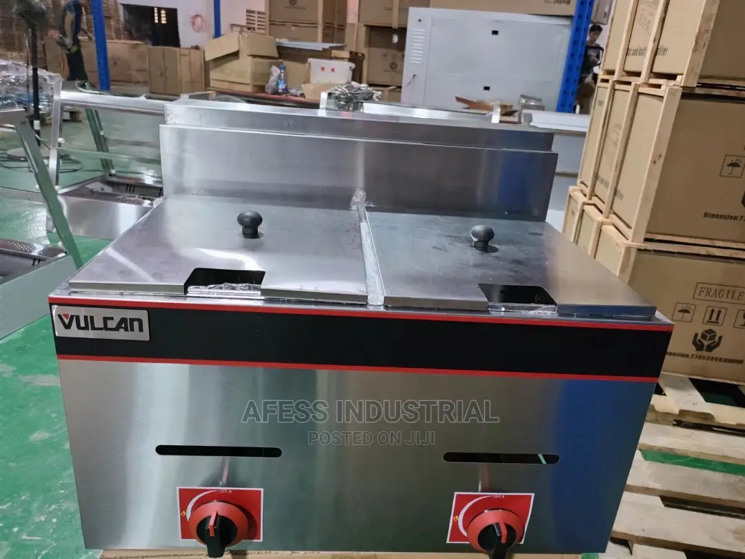 Double Bowl Deep Fryer 12L in Ajah Restaurant & Catering Equipment, Afess Kitchen Equipment