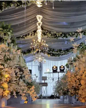 Wedding/Birthday Party Decoration
