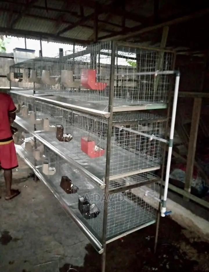 Rabbit Cage System in Ibadan Farm Machinery & Equipment, Ademola