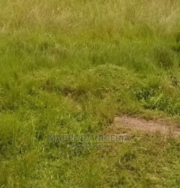 915sqm at Zone L,Plot 8(Mixed Use), Banana Island. in Banana Island