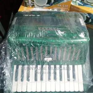 Photo - Professional Accordion Midiun Size