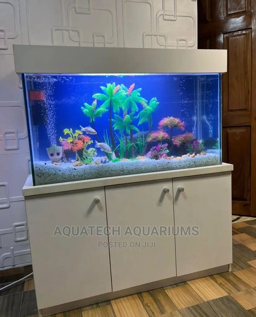 Aquarium Fish Tank in Ikeja Fish, Omotayo Emmanuel Jiji.ng