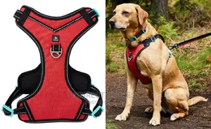 Photo - Pets at Home 3 Peaks Control Ascent RED LARGE Dog Harness