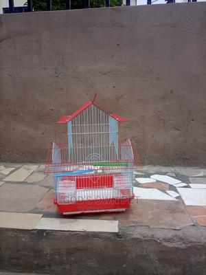 Foreign Cage for You Canary and Love Birds | Pet's Accessories for sale in Lagos State, Surulere