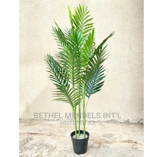 Cheap Fake Palm Plants for Sale at Bethelmendels Ikeja Lagos in Ikeja