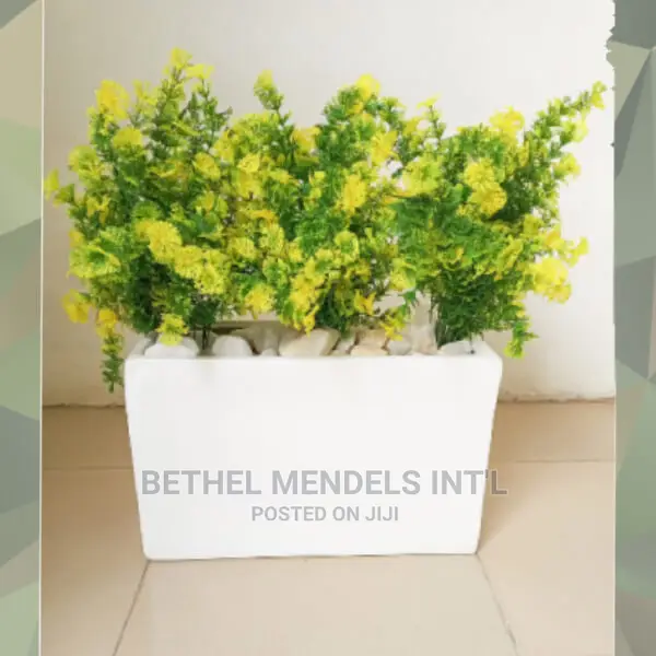 Combo of Trough Fiberglass Flower Pot With Vine FlowersSale in Ikeja