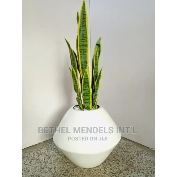 Onion Fiberglass Flower Pots for Sale at Affordable Prices. in Ikeja