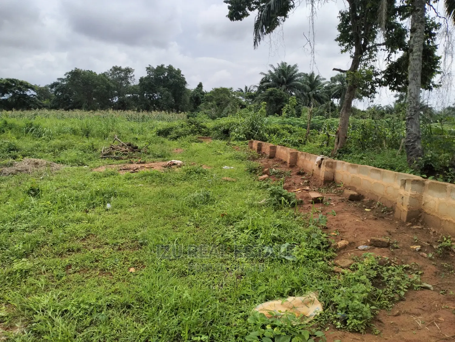 One Plot in Nibo Awka in Awka Land & Plots for Sale, Izu Real Estate