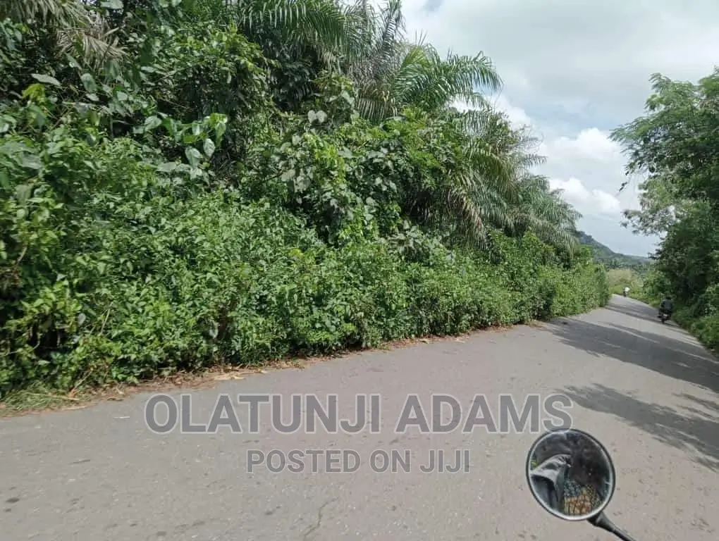 7000 Acres of Land in Osogbo Land & Plots for Sale, Olatunji Adams