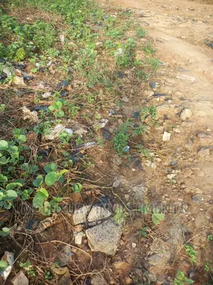 Photo - Well Situated And Portioned Land For Sale At Sagamu.