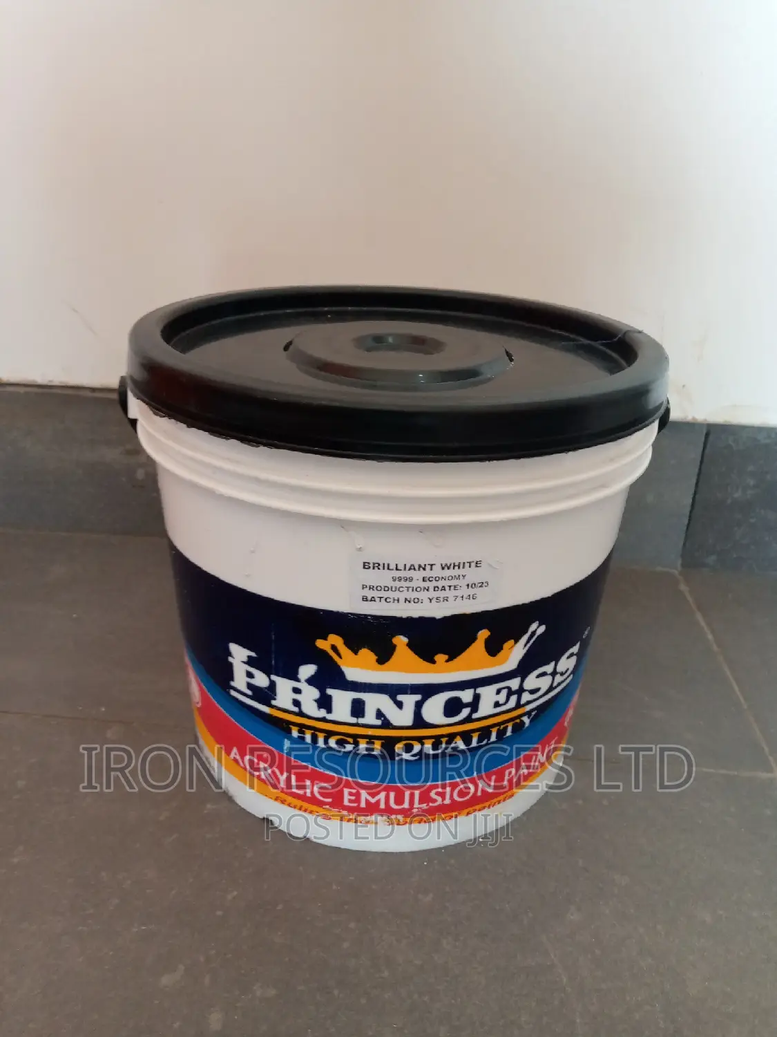 Princess Emulsion Paint 4ltr. in Lekki Building Materials, Iron