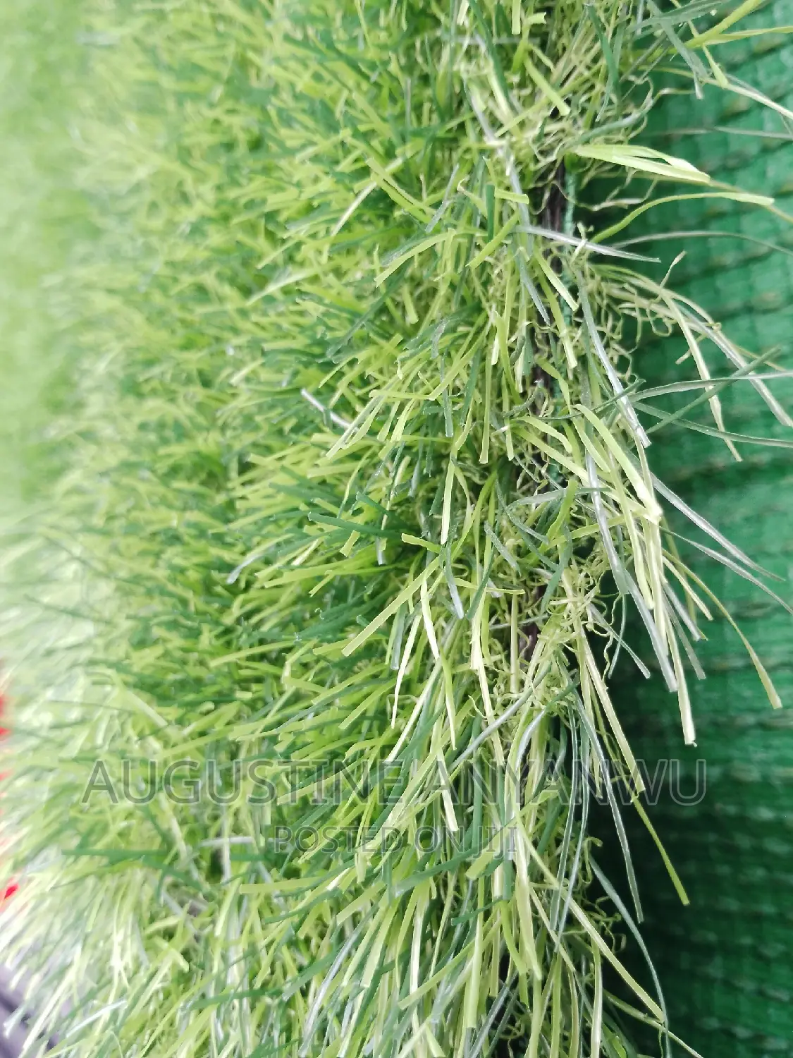 High Quality Turkish Green Grass Rug Carpet 40mm in Surulere Garden Supplies, Augustine