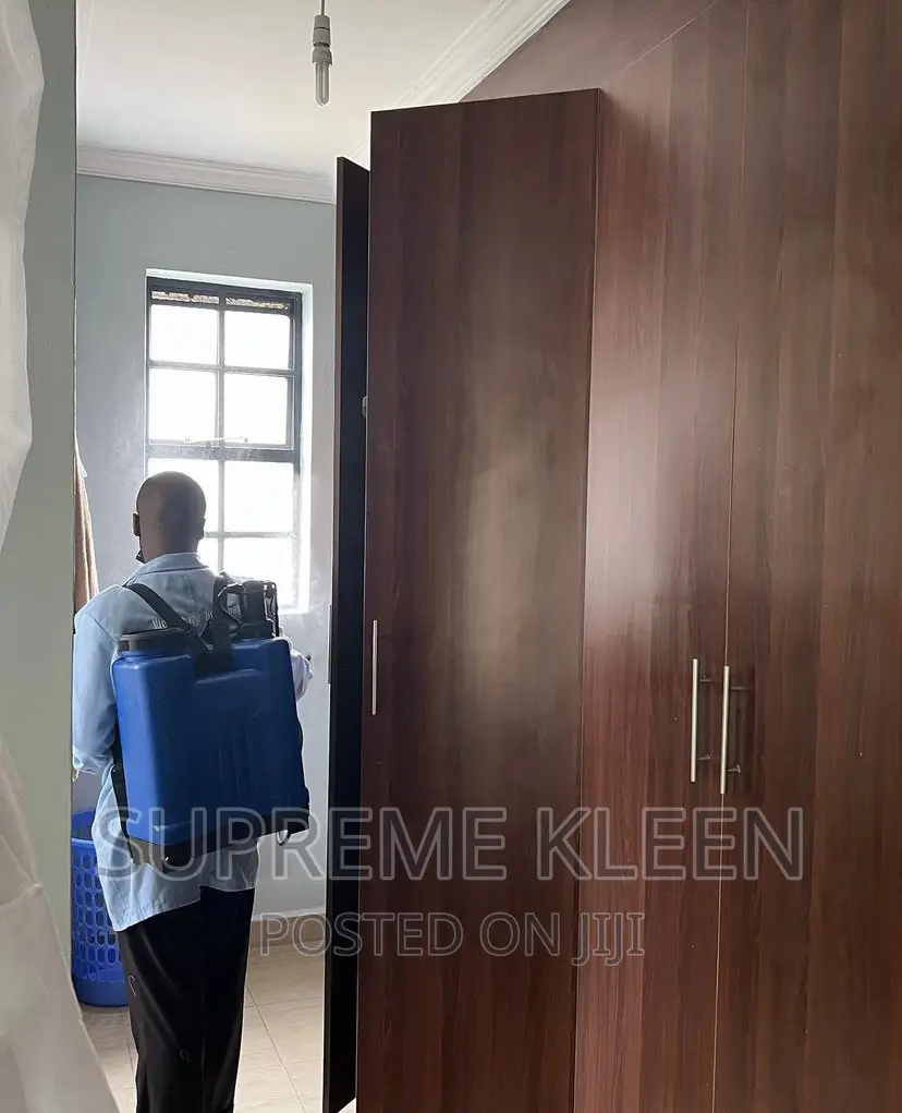 Crockroaches, Roaches, Mosquitoes Fumigation Services in Ajah