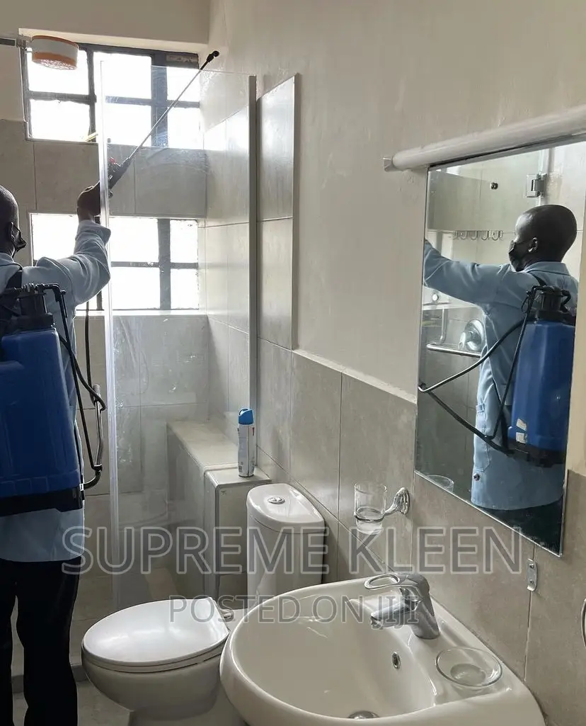 Crockroaches, Roaches, Mosquitoes Fumigation Services in Ajah