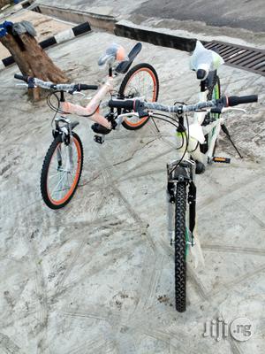 Photo - Adult Sports Bicycle
