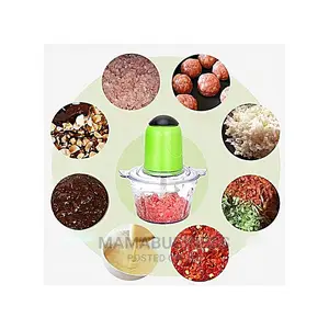 Photo - Electric Food Processor, Yam Pounder and Meat Mincer Machine