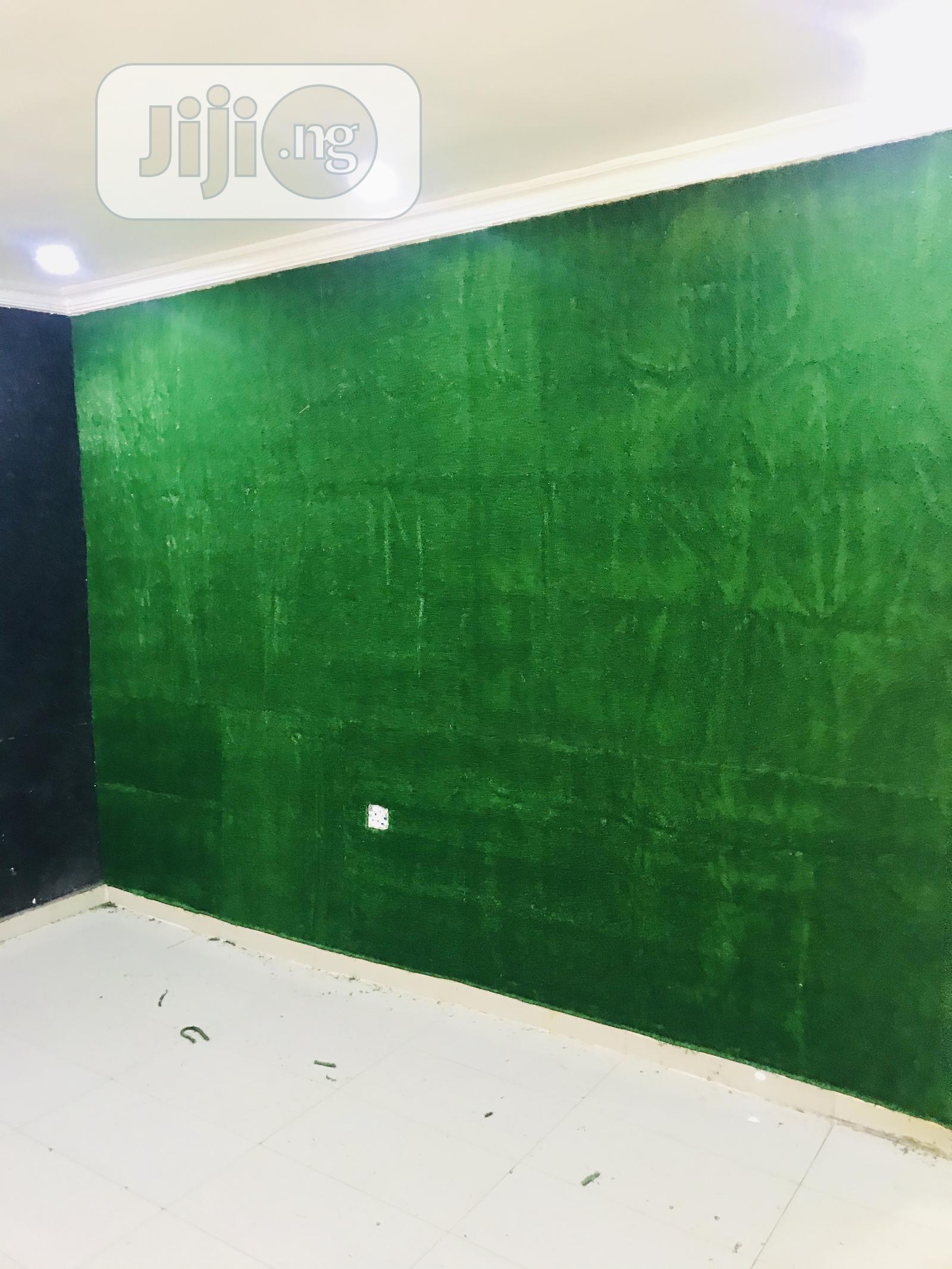 Grass Rugs To Beautify Wall in Victoria Island Garden Supplies