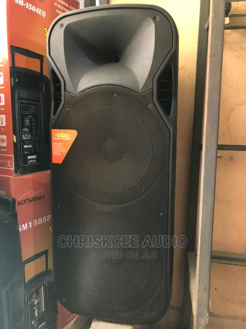 Double 15inches Rechargeable Public Address System in Ojo Audio