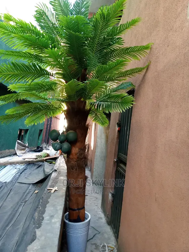 Discover 156+ fake coconuts decoration vova.edu.vn