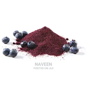 Photo - Blueberry Powder - 100g