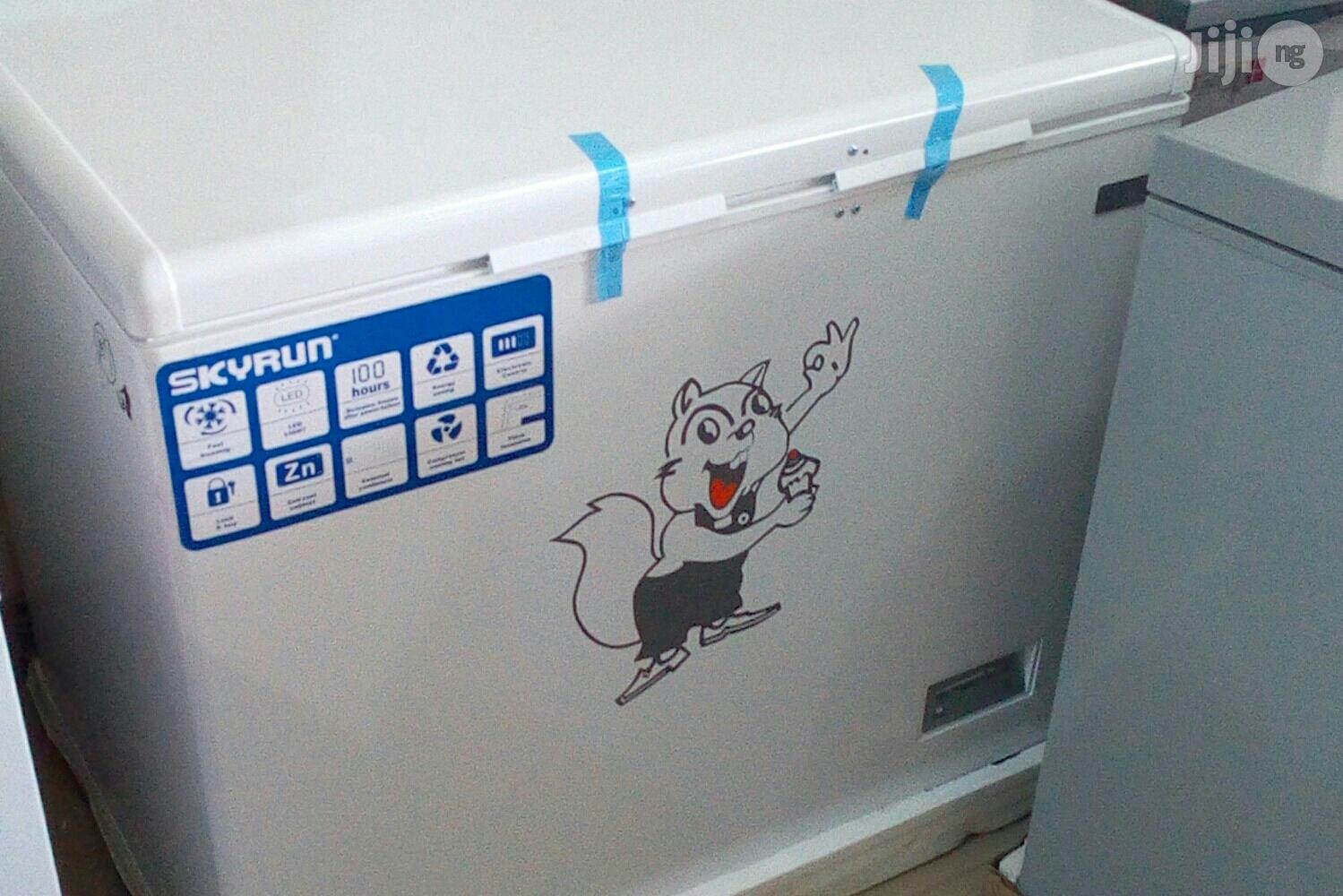 Skyrun Deep Freezer 260 Lt in Gwagwalada Kitchen Appliances, Ilona