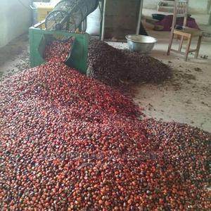 Palm Thresher | Farm Machinery & Equipment for sale in Lagos State, Ojo