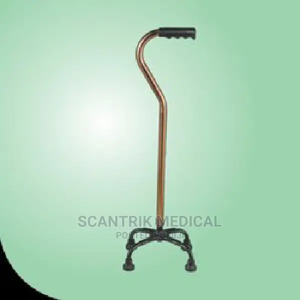 Walking Stick Quadripod in Etche Medical Supplies & Equipment