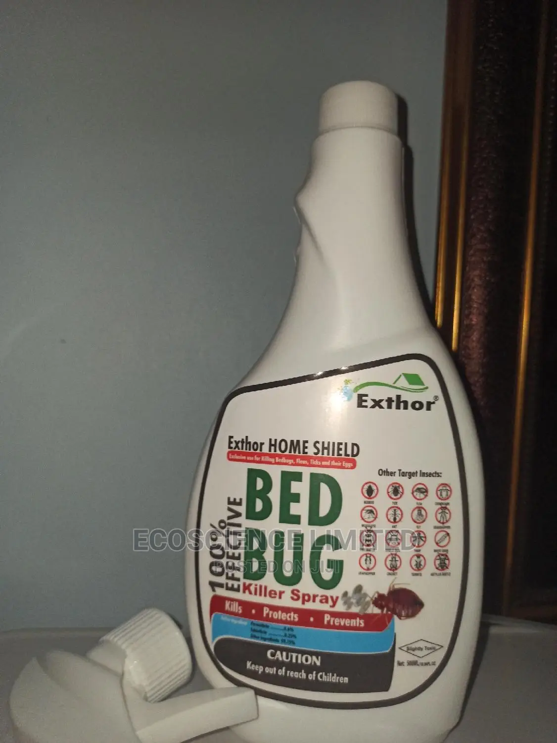Which Insecticide Is Best for Killing Bed Bugs in Nigeria? in Maryland